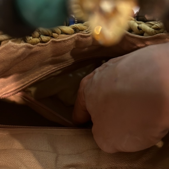 Cappelli Straworld Dorfman Pacific Purse Beautiful unique bag gently used - Picture 8 of 10